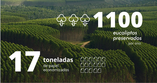 eucaliptos2.png eucaliptos2.png