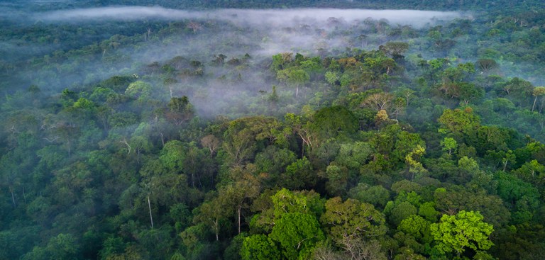 Amazônia Amazônia