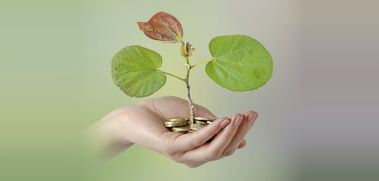 mão planta moedas materia cbio.jpg mão planta moedas materia cbio.jpg