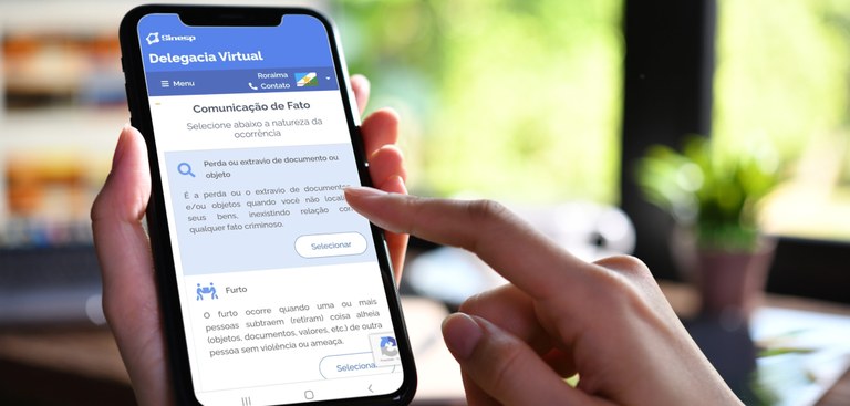 delegacia virtual roraima tocantins serpro.jpg delegacia virtual roraima tocantins serpro.jpg