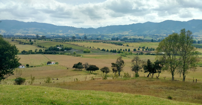 Cena campestre de uma região de pequenas fazendas