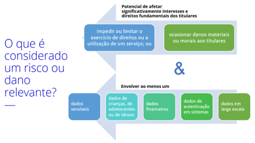 O que é considerado um risco do dano relevante. Fonte: Serpro