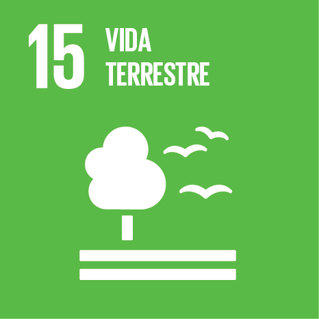 ODS 15 - Vida terrestre ODS 15 - Vida terrestre