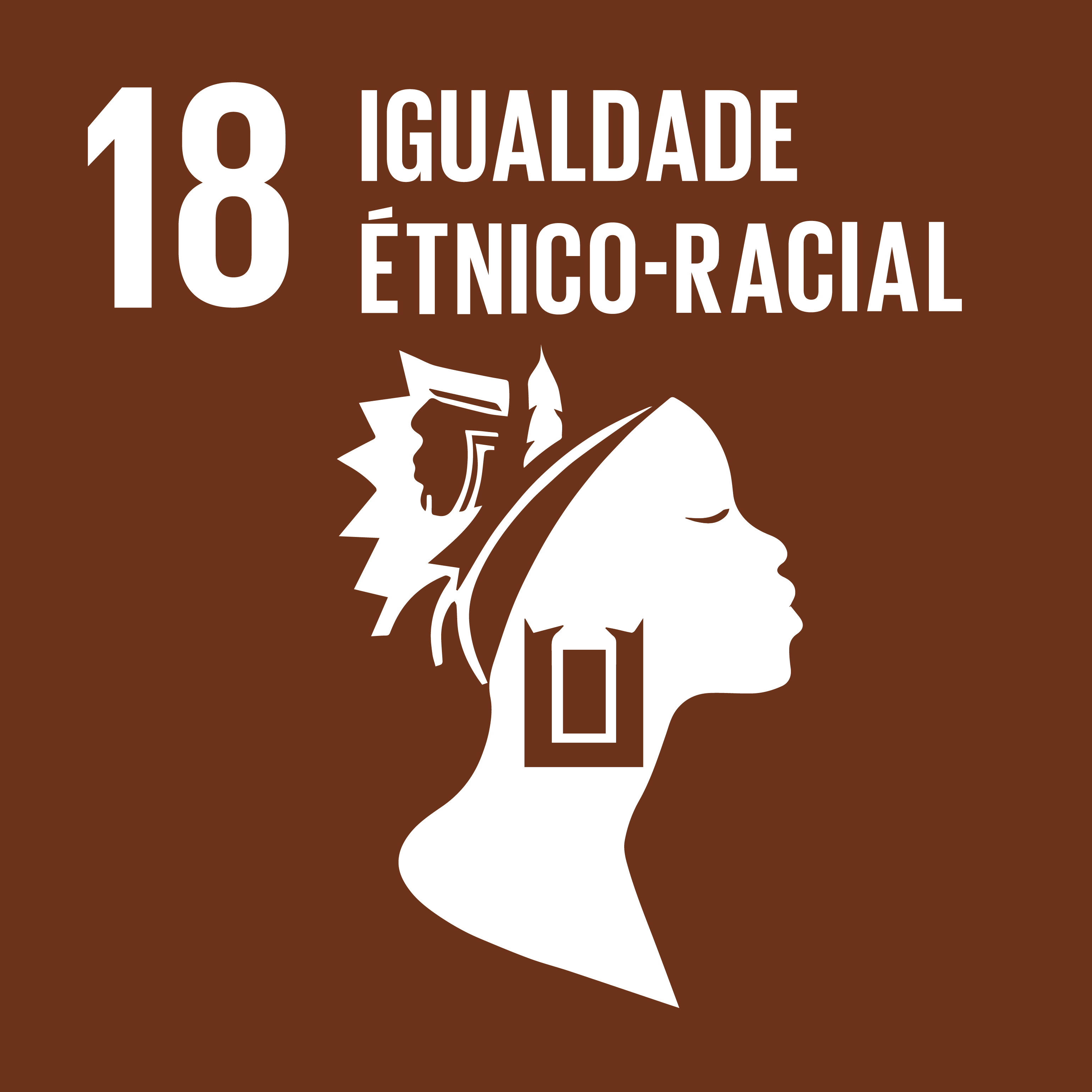 ODS 18 - Igualdade étnico-racial
